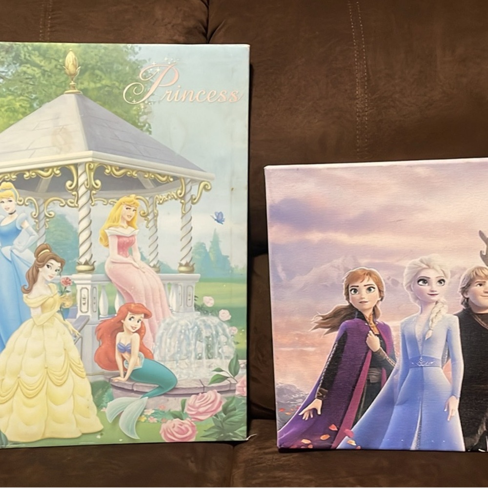 Disney Princess and Frozen Canvas Wall Art
